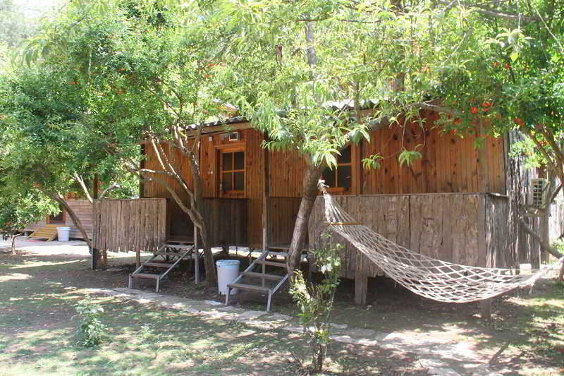 Turkmen Tree Houses Olympos Zewnętrze zdjęcie