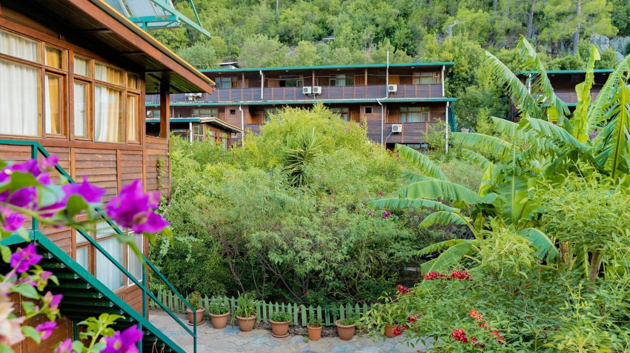 Turkmen Tree Houses Olympos Zewnętrze zdjęcie