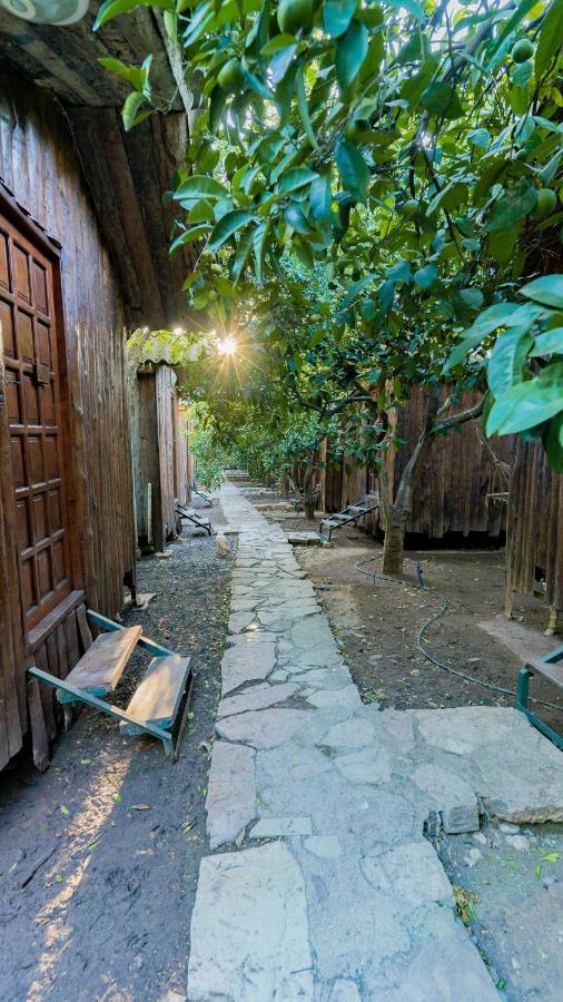 Turkmen Tree Houses Olympos Zewnętrze zdjęcie