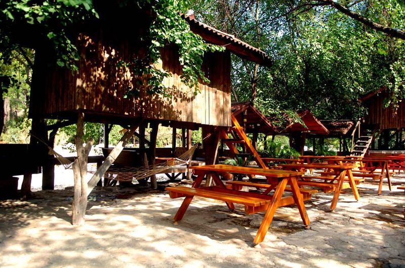 Turkmen Tree Houses Olympos Zewnętrze zdjęcie