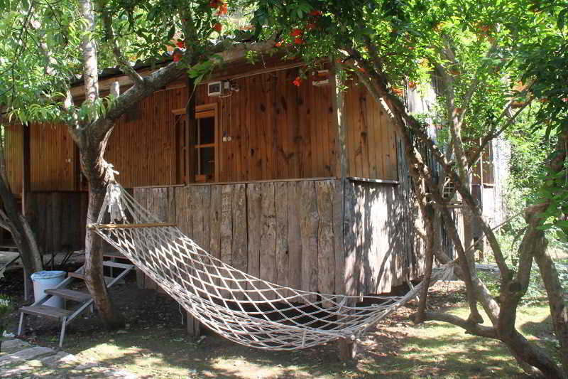 Turkmen Tree Houses Olympos Zewnętrze zdjęcie