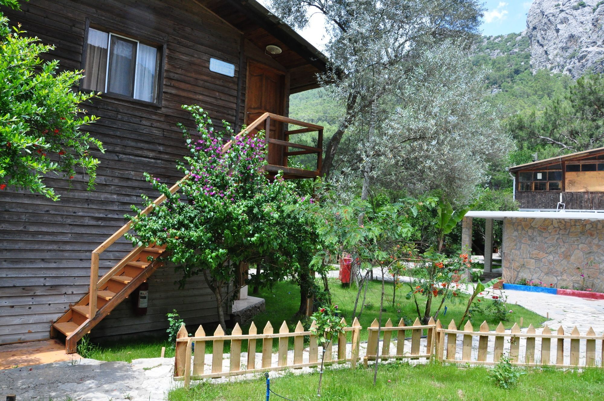 Turkmen Tree Houses Olympos Zewnętrze zdjęcie