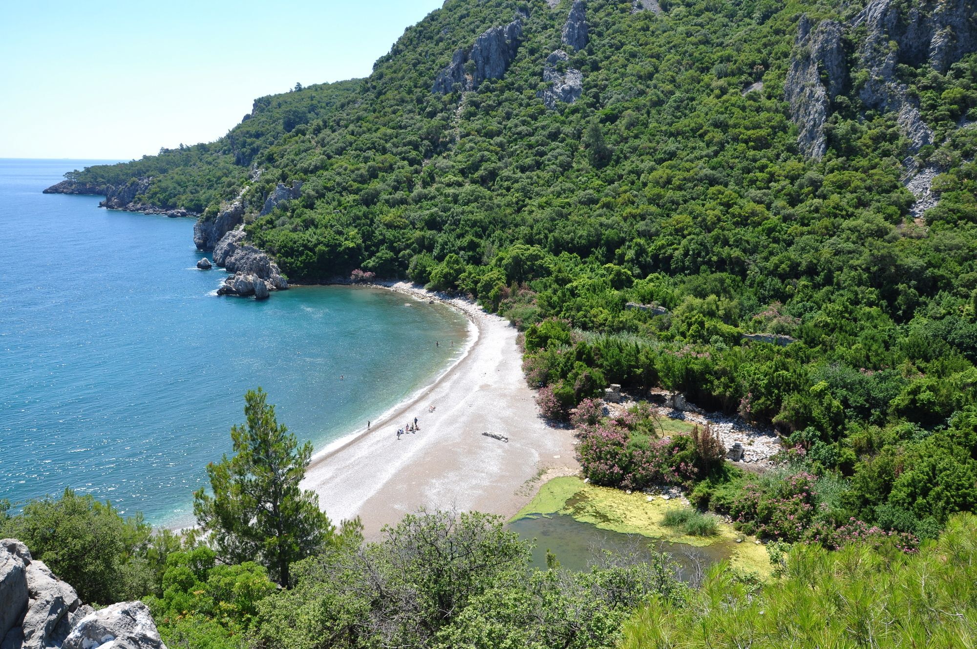 Turkmen Tree Houses Olympos Zewnętrze zdjęcie