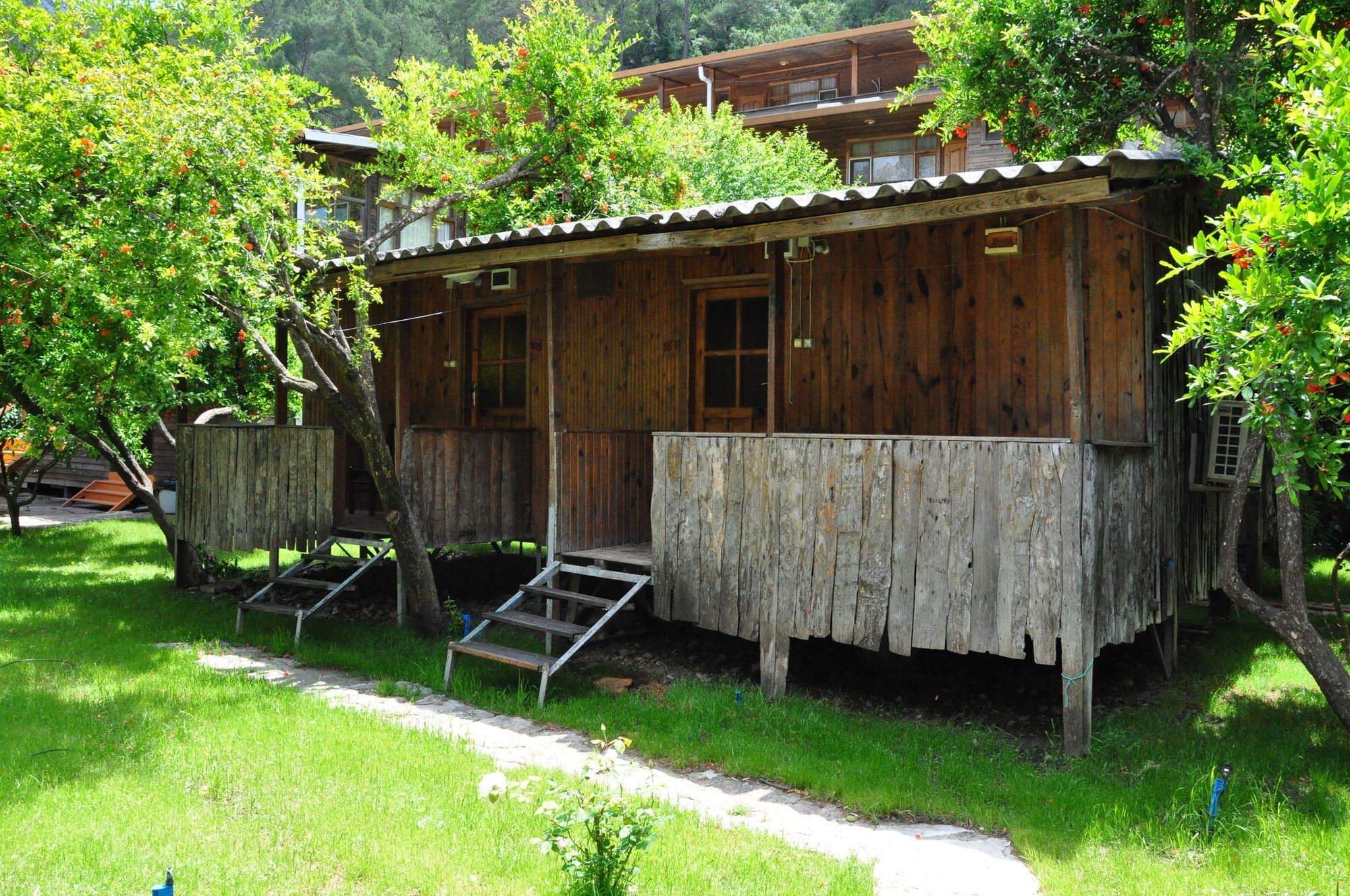 Turkmen Tree Houses Olympos Zewnętrze zdjęcie