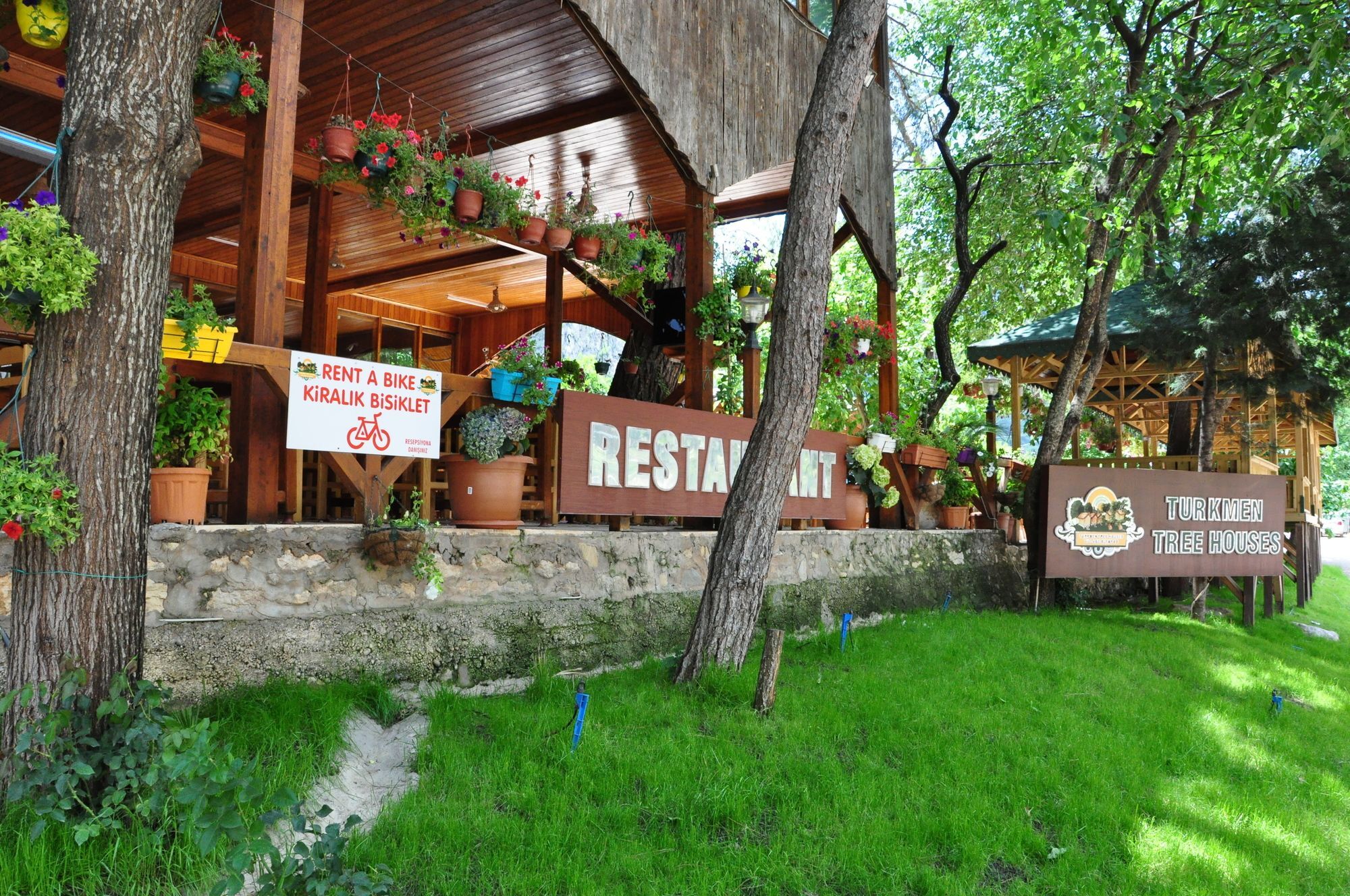 Turkmen Tree Houses Olympos Zewnętrze zdjęcie